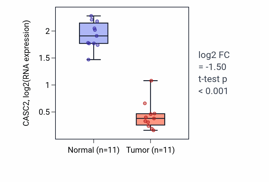 Tumor-vs-normal expression box plot for CASC2 in KICH.