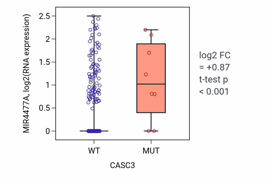 Box plot of MIR4477A in CASC3-low vs CASC3-high samples in SKCM.