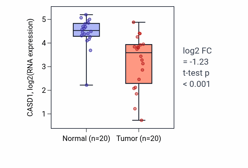 Tumor-vs-normal expression box plot for CASD1 in COAD.