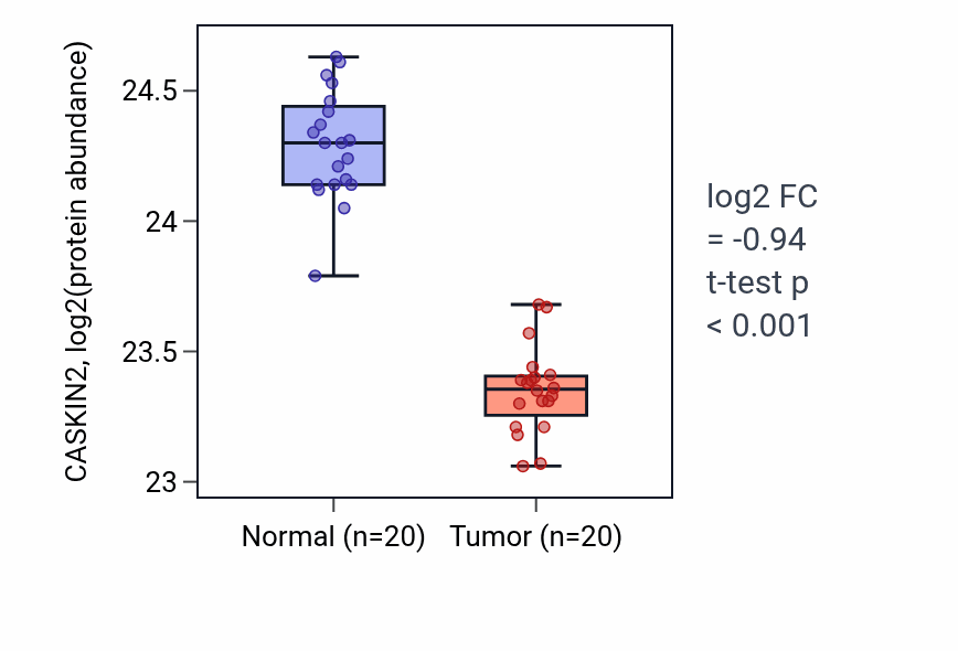 Tumor-vs-normal mass-spec protein box plot for CASKIN2 in LSCC.