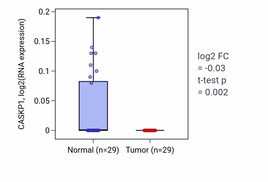 Tumor-vs-normal expression box plot for CASKP1 in HNSC.