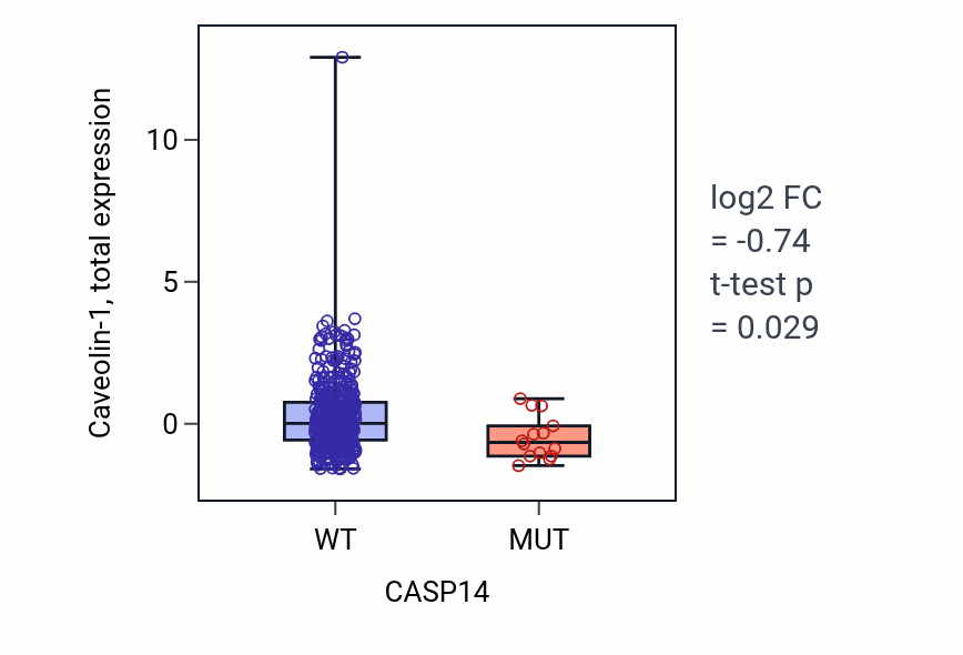 Box plot of Caveolin-1 in CASP14-low vs CASP14-high samples in UCEC.