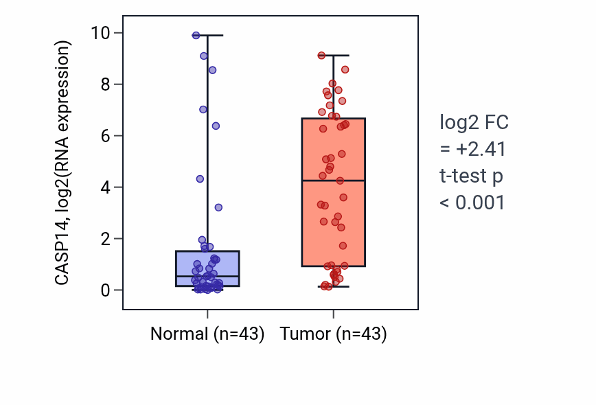 Tumor-vs-normal expression box plot for CASP14 in HNSC.