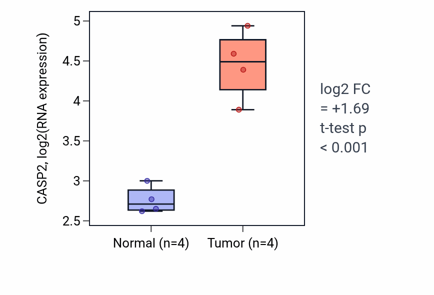 Tumor-vs-normal expression box plot for CASP2 in KIRP.