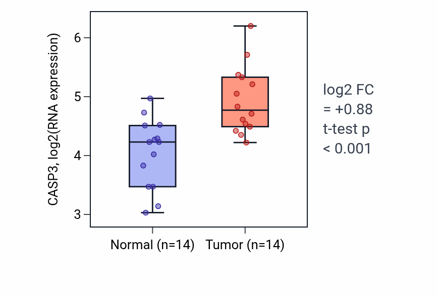 Tumor-vs-normal expression box plot for CASP3 in KIRC.