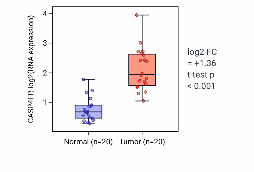 Tumor-vs-normal expression box plot for CASP4LP in KIRC.