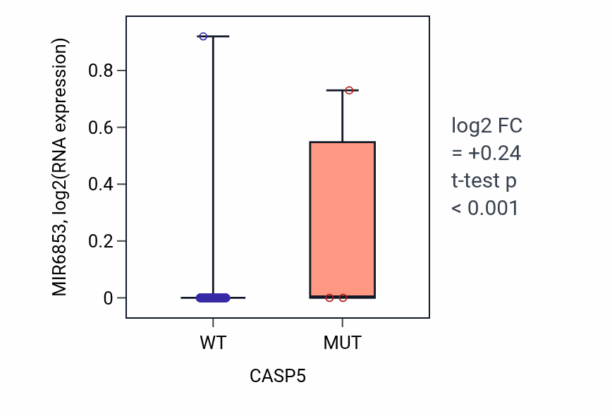 Box plot of MIR6853 in CASP5-low vs CASP5-high samples in BRCA.