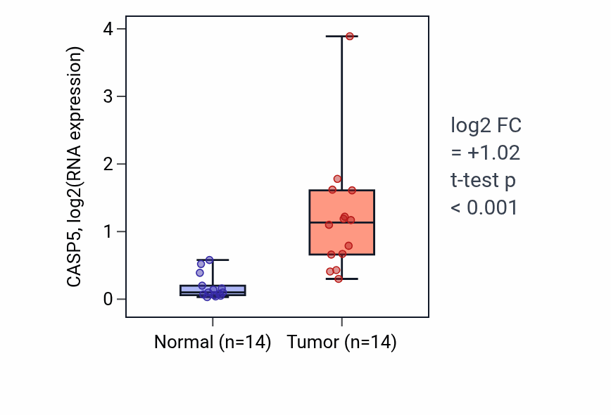 Tumor-vs-normal expression box plot for CASP5 in KIRC.