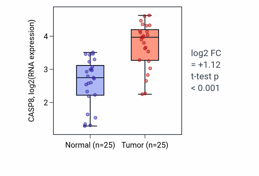 Tumor-vs-normal expression box plot for CASP8 in HNSC.