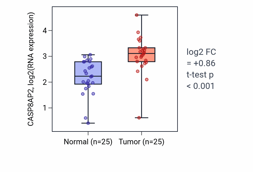Tumor-vs-normal expression box plot for CASP8AP2 in HNSC.