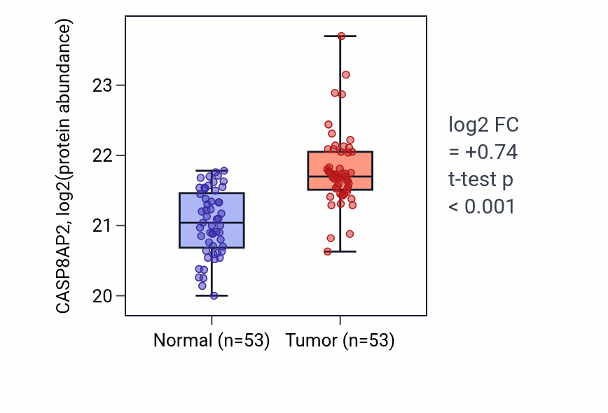 Tumor-vs-normal mass-spec protein box plot for CASP8AP2 in LSCC.