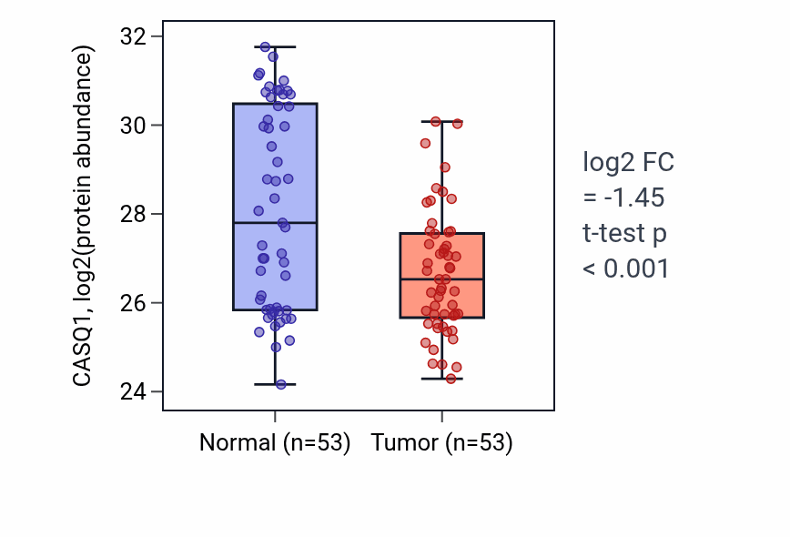 Tumor-vs-normal mass-spec protein box plot for CASQ1 in HNSC.