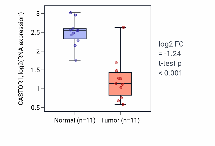 Tumor-vs-normal expression box plot for CASTOR1 in KIRP.