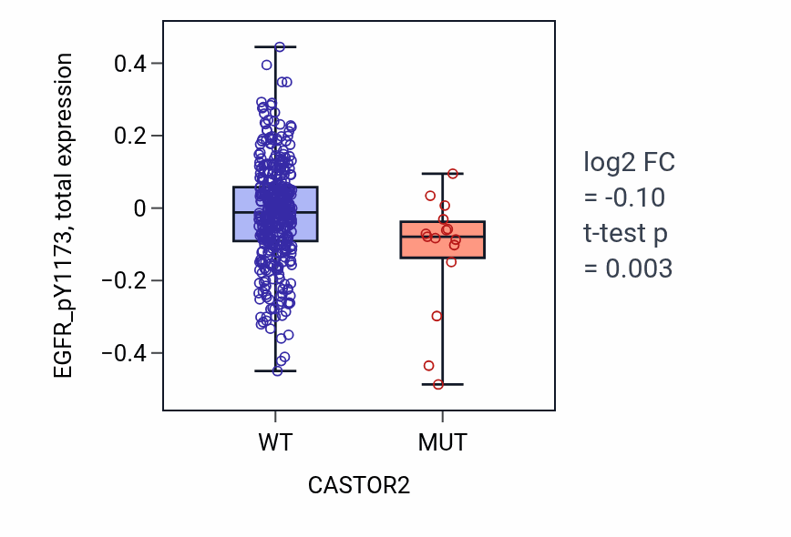 Box plot of EGFR_pY1173 in CASTOR2-low vs CASTOR2-high samples in UCEC.