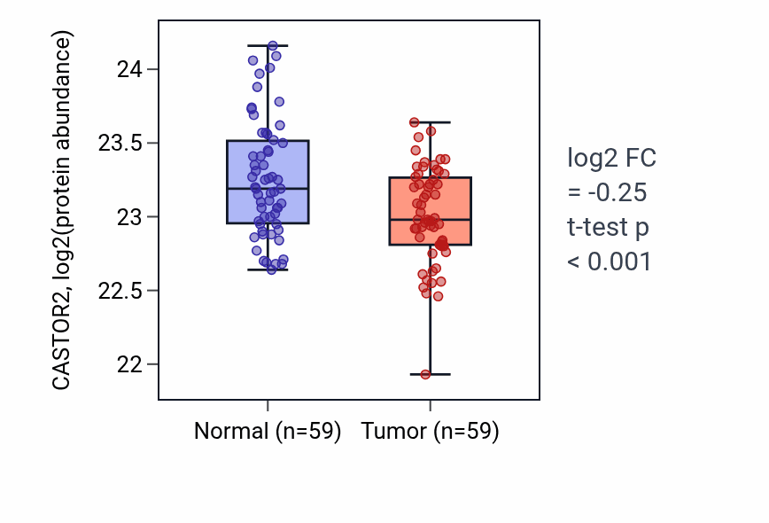 Tumor-vs-normal mass-spec protein box plot for CASTOR2 in HNSC.