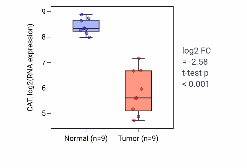 Tumor-vs-normal expression box plot for CAT in LUAD.