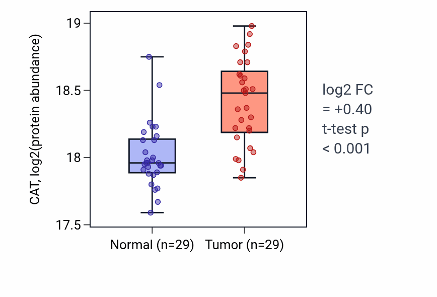 Tumor-vs-normal mass-spec protein box plot for CAT in HNSC.