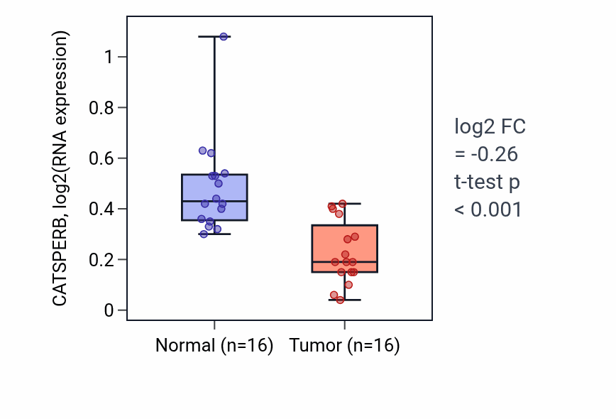 Tumor-vs-normal expression box plot for CATSPERB in THCA.