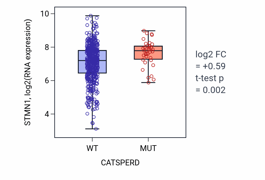 Box plot of STMN1 in CATSPERD-low vs CATSPERD-high samples in UCEC.