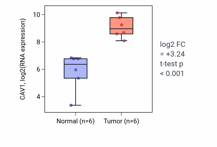 Tumor-vs-normal expression box plot for CAV1 RNA in HNSC.