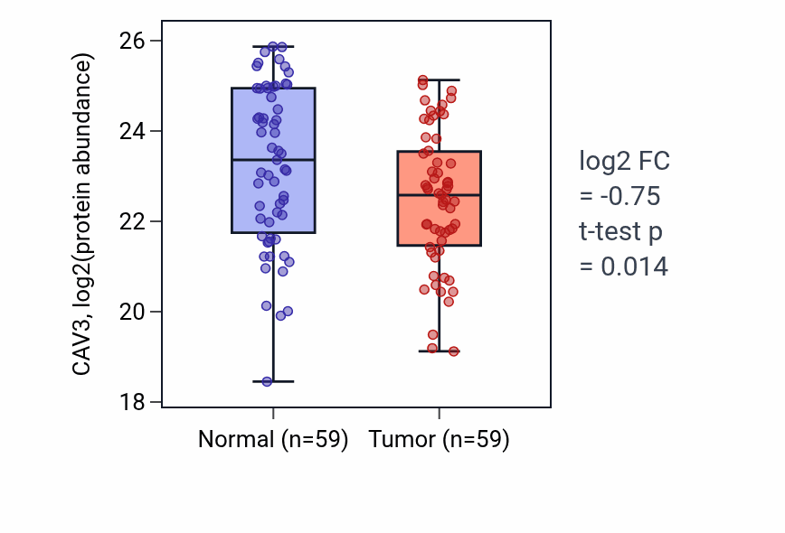 Tumor-vs-normal mass-spec protein box plot for CAV3 in HNSC.