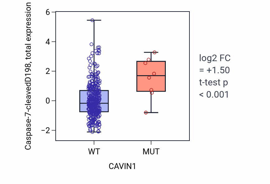 Box plot of Caspase-7-cleavedD198 in CAVIN1-low vs CAVIN1-high samples in COAD.