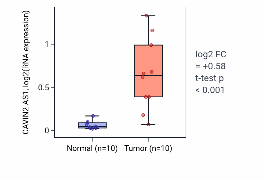 Tumor-vs-normal expression box plot for CAVIN2-AS1 RNA in KIRP.