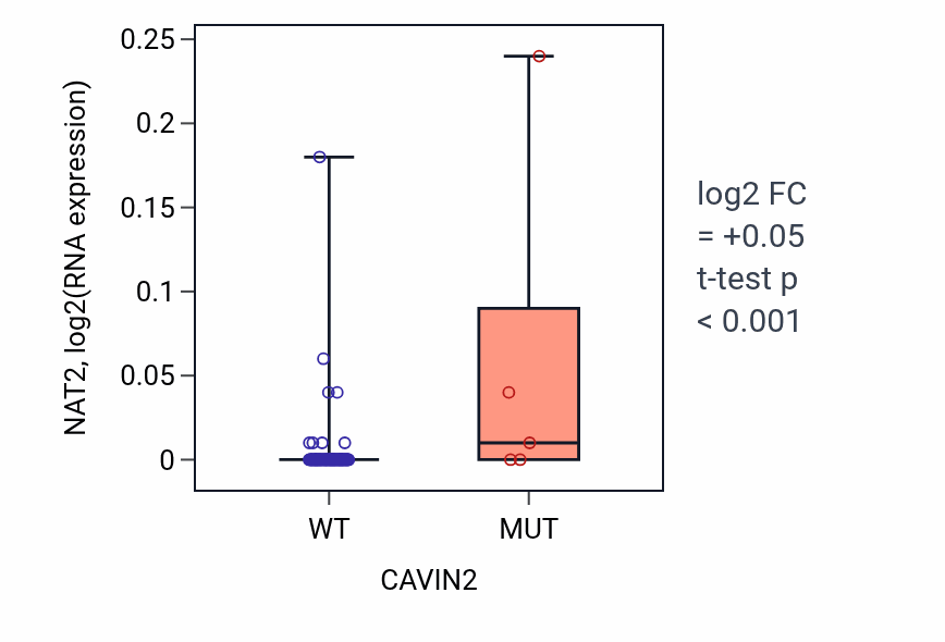 Box plot of NAT2 in CAVIN2-low vs CAVIN2-high samples in BLOOD_Leukemia.