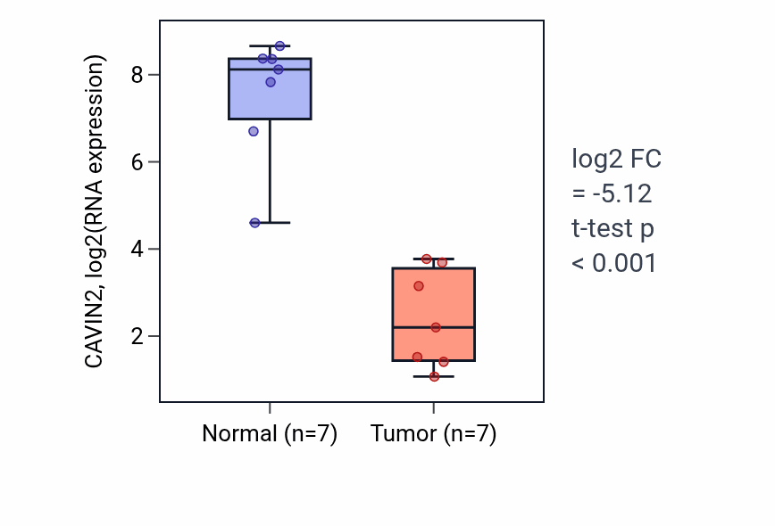 Tumor-vs-normal expression box plot for CAVIN2 in BLCA.