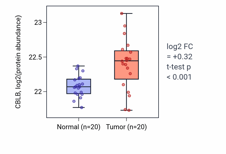 Tumor-vs-normal mass-spec protein box plot for CBLB in LSCC.
