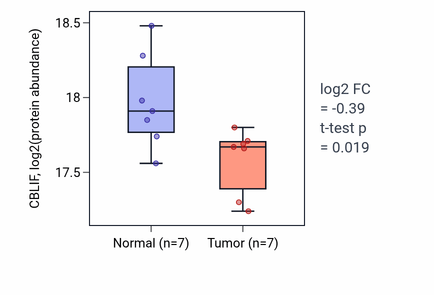 Tumor-vs-normal mass-spec protein box plot for CBLIF in HNSC.