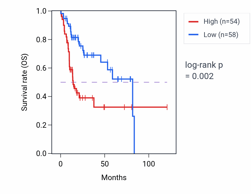 Kaplan&ndash;Meier survival curve for CBY2 RNA expression in LIHC: high vs low expression groups.