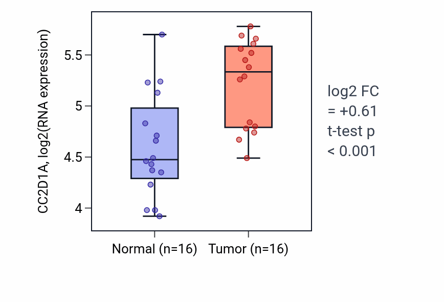 Tumor-vs-normal expression box plot for CC2D1A in KIRP.