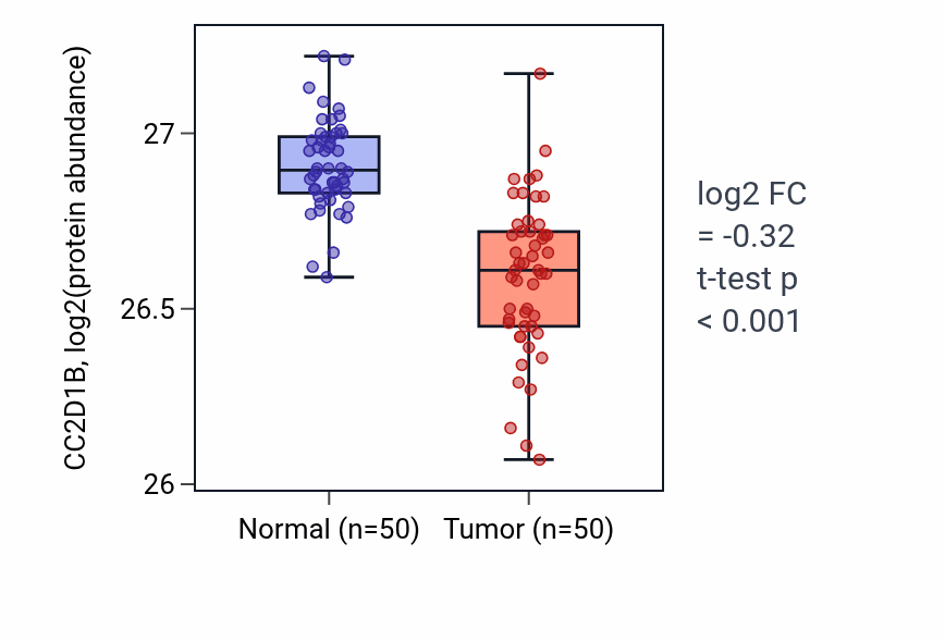 Tumor-vs-normal mass-spec protein box plot for CC2D1B in LSCC.