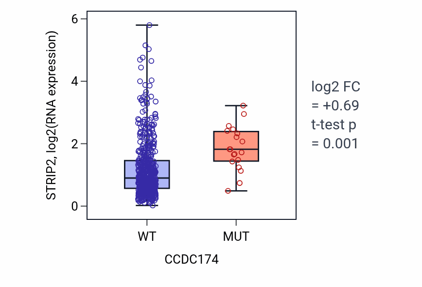 Box plot of STRIP2 in CCDC174-low vs CCDC174-high samples in UCEC.