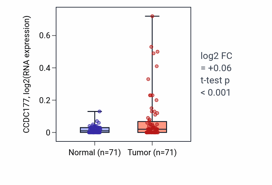 Tumor-vs-normal expression box plot for CCDC177 in KIRC.