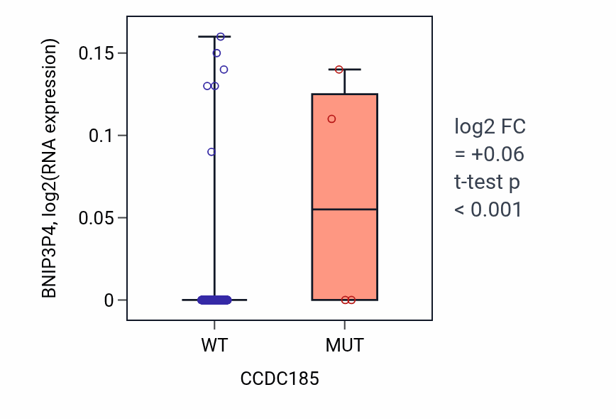 Box plot of BNIP3P4 in CCDC185-low vs CCDC185-high samples in LIHC.