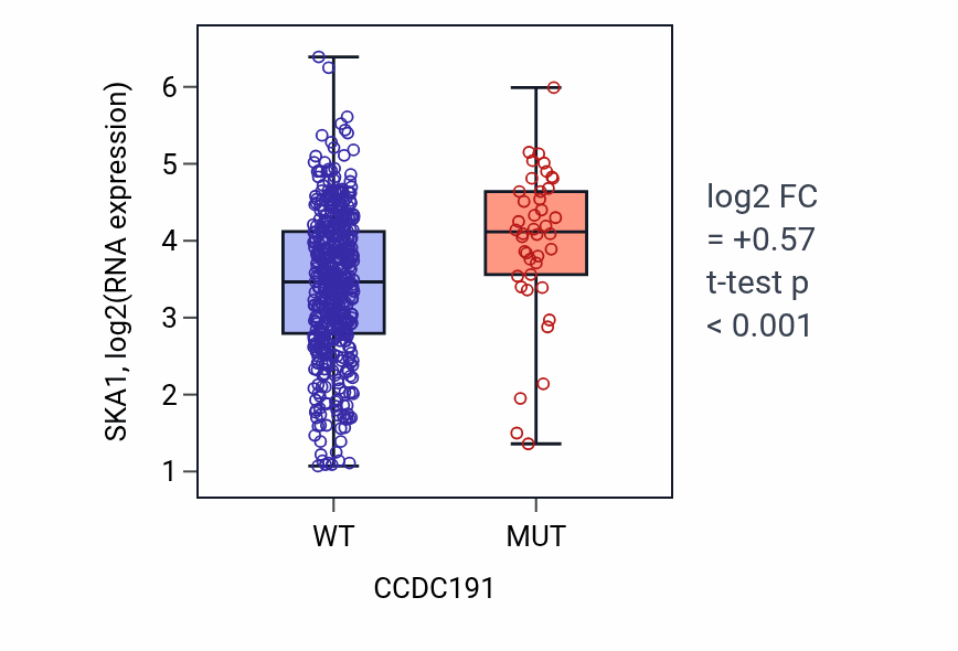 Box plot of SKA1 in CCDC191-low vs CCDC191-high samples in UCEC.