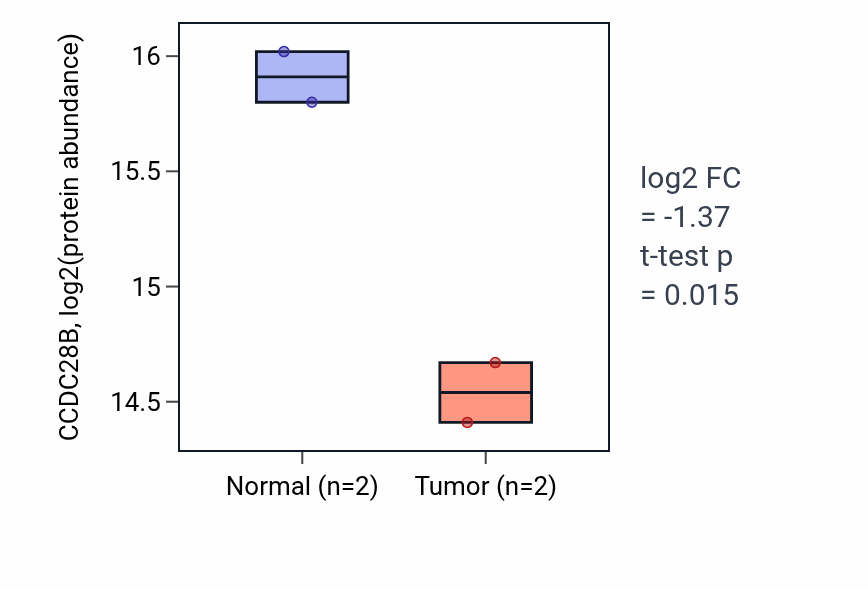 Tumor-vs-normal mass-spec protein box plot for CCDC28B in LSCC.