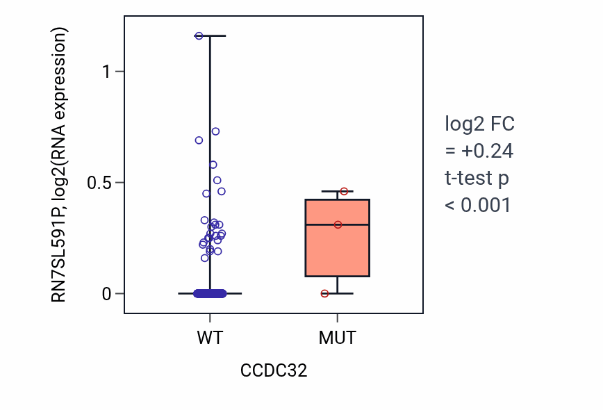 Box plot of RN7SL591P in CCDC32-low vs CCDC32-high samples in LUSC.