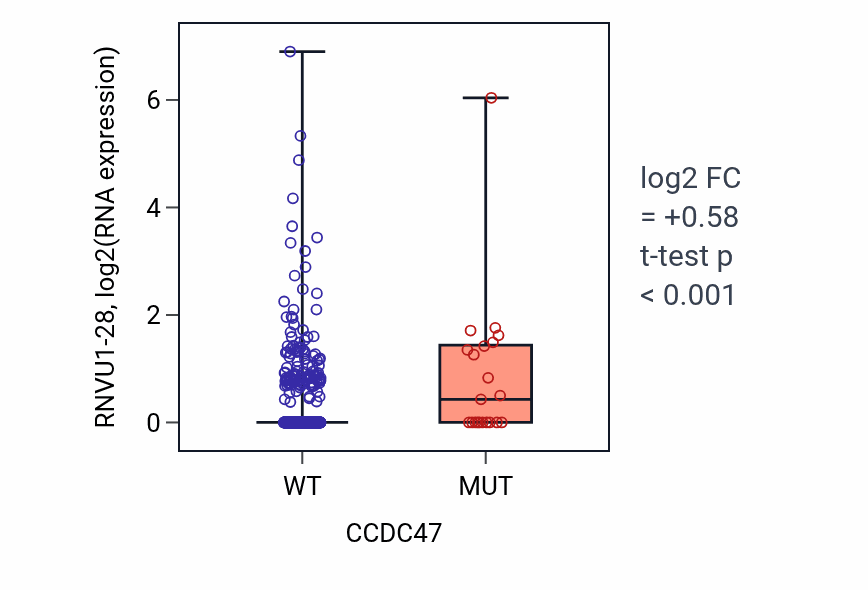 Box plot of RNVU1-28 in CCDC47-low vs CCDC47-high samples in UCEC.