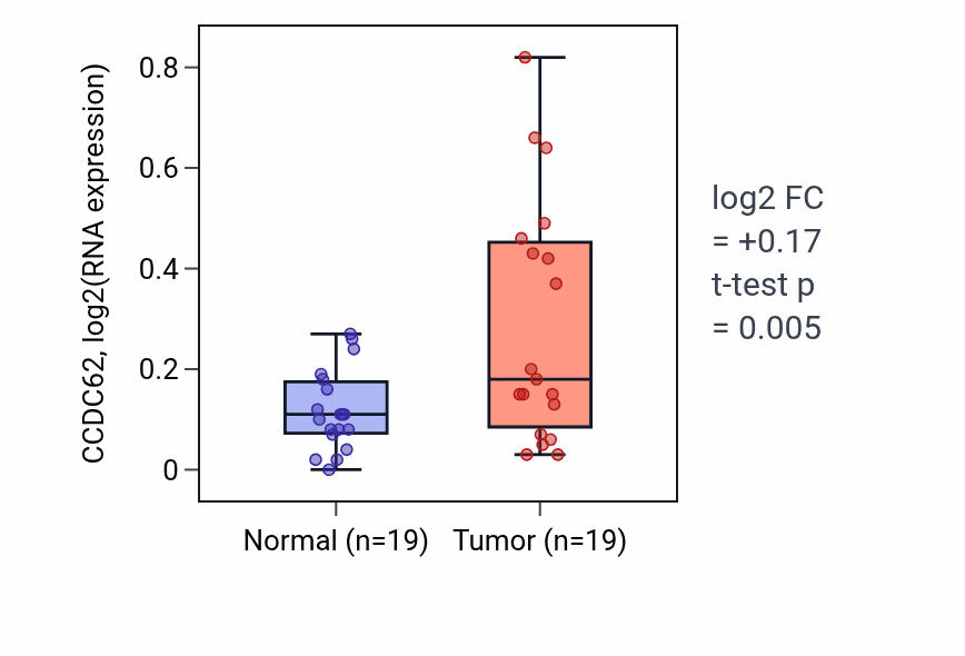 Tumor-vs-normal expression box plot for CCDC62 in STAD.