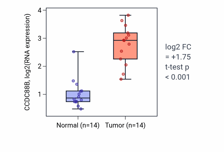 Tumor-vs-normal expression box plot for CCDC88B in KIRC.