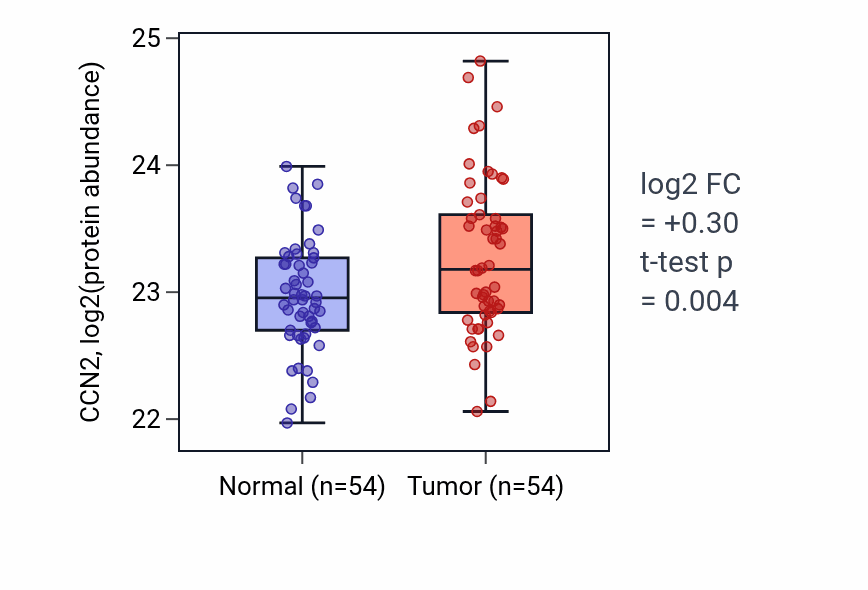 Tumor-vs-normal mass-spec protein box plot for CCN2 in HNSC.