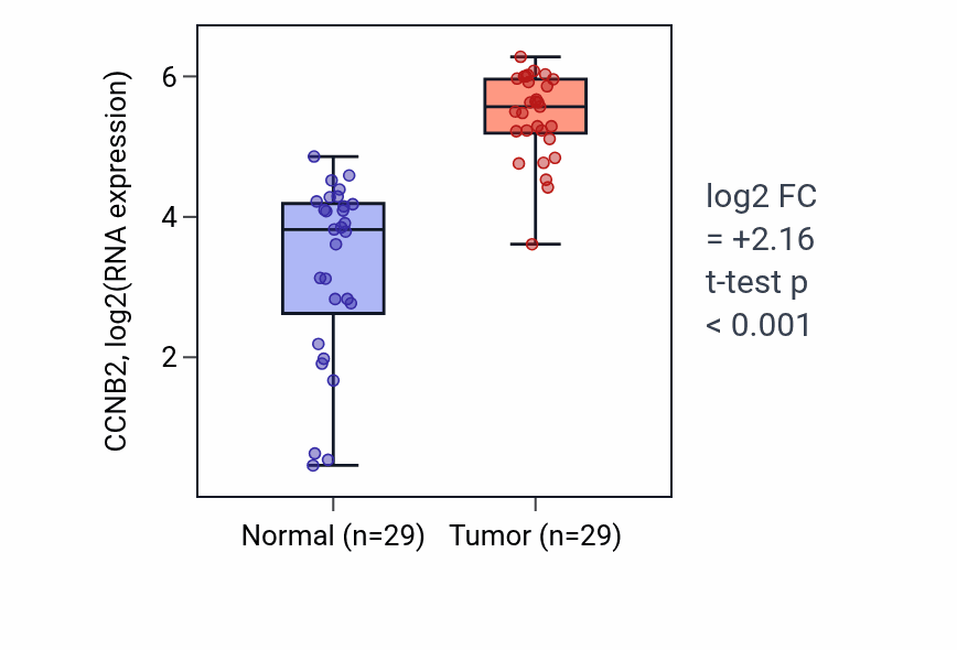Tumor-vs-normal expression box plot for CCNB2 in HNSC.