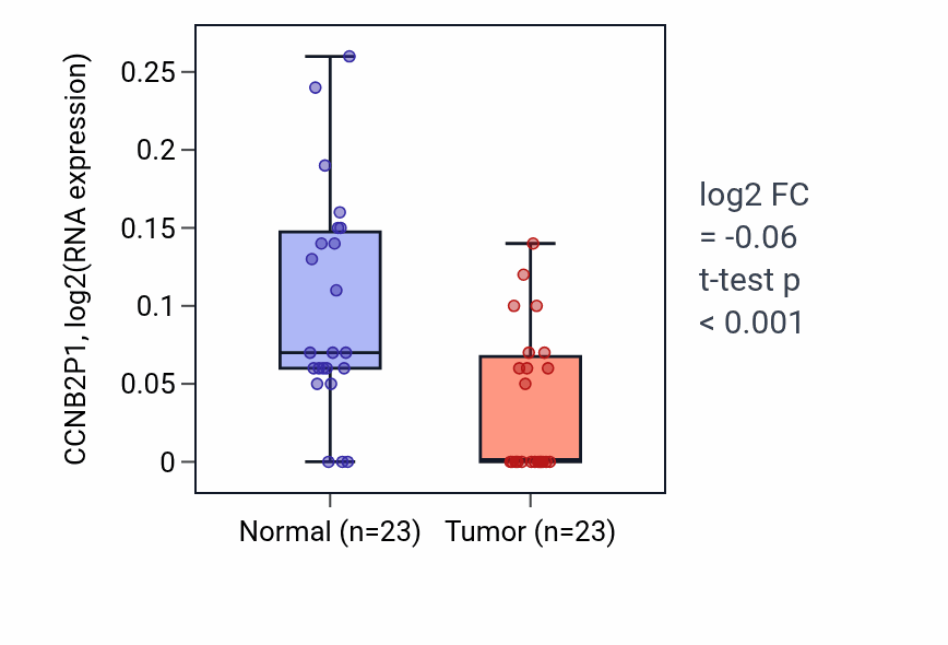 Tumor-vs-normal expression box plot for CCNB2P1 in THCA.