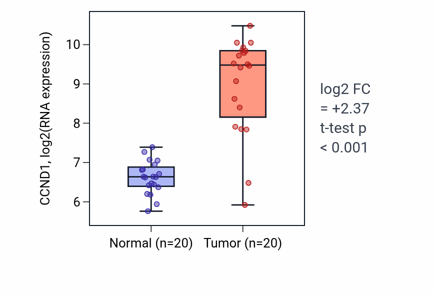 Tumor-vs-normal expression box plot for CCND1 RNA in KIRC.