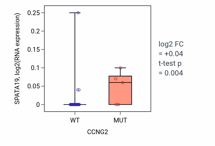 Box plot of SPATA19 in CCNG2-low vs CCNG2-high samples in LUNG_NSCLC_LUAD.