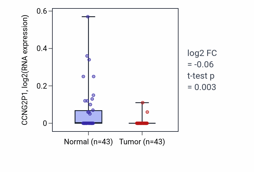 Tumor-vs-normal expression box plot for CCNG2P1 in HNSC.