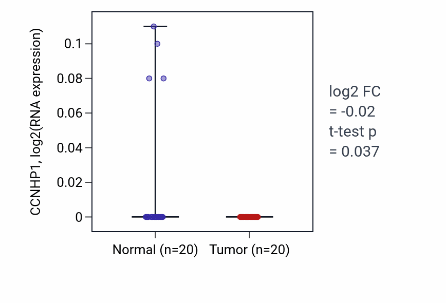 Tumor-vs-normal expression box plot for CCNHP1 in KIRC.